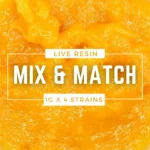 Mix N’ Match – Live Resin (Sampler Pack)